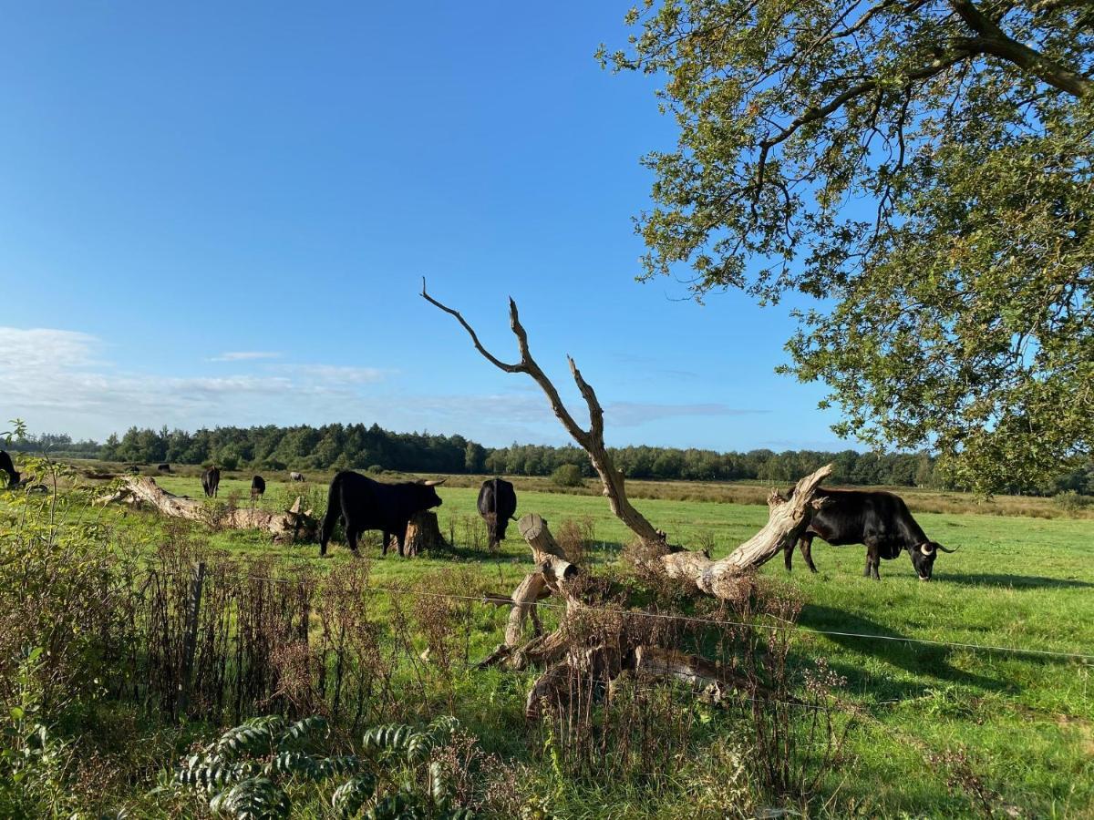 Blokhut 4-Persoons De Blauwe Lantaarn Hotel Wateren Buitenkant foto